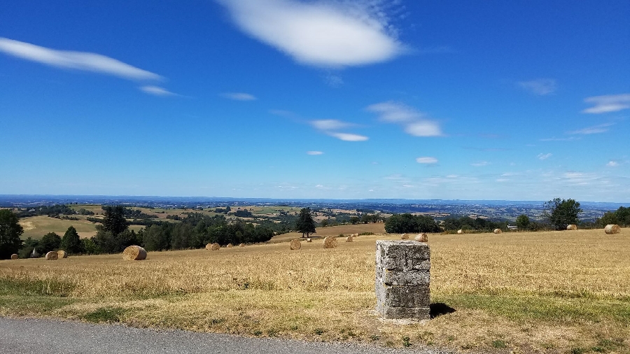 Borne géodésique