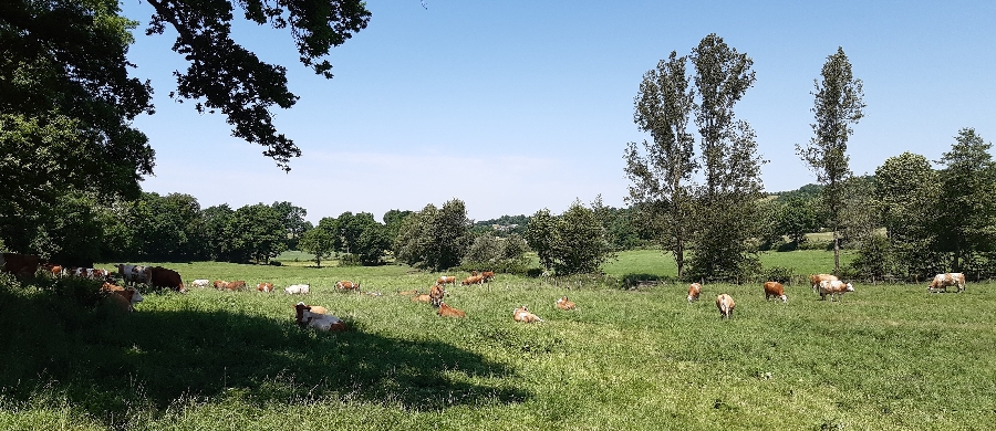 GAEC Fabié- Colis de viande