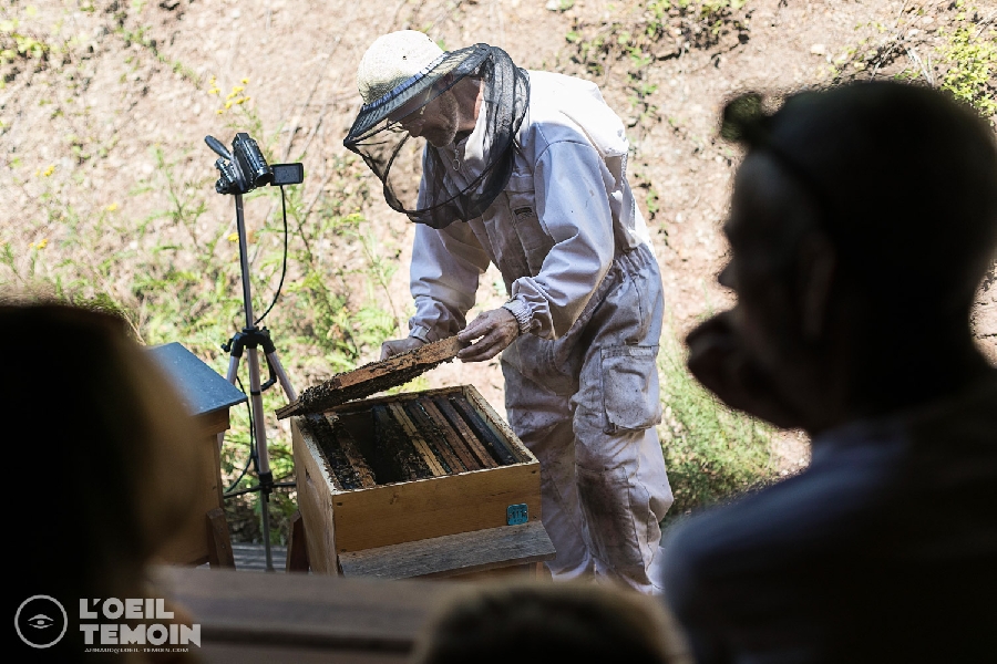 L'Arc en Miel: visita e inmersión al corazón del mundo de las abejas