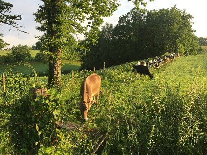 Gaec du Bez, GAEC DU BEZ