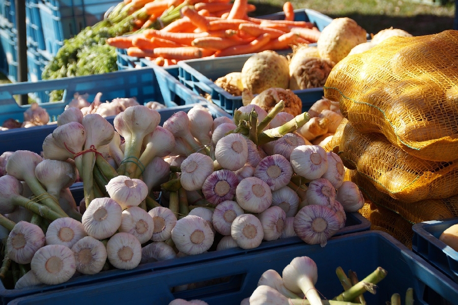 Marché nocturne à St Martin de Lenne