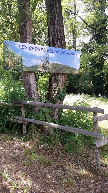 Gîte Les Cèdres Bleus de Joany, La bergerie