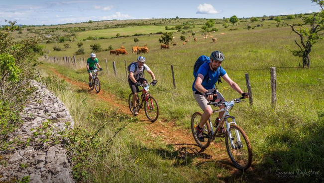 Rando VTT