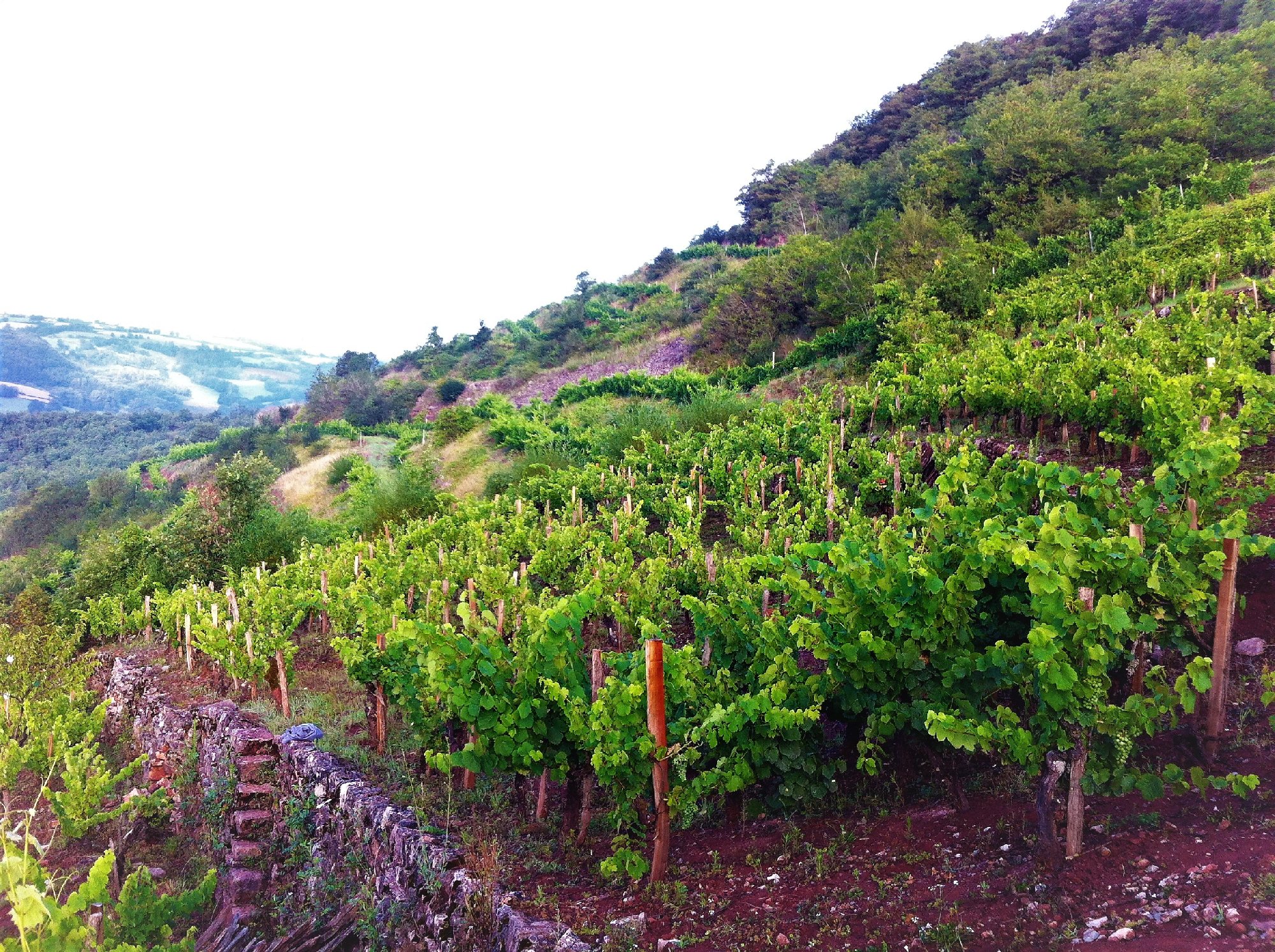 Domaine des Boissières, OTCM