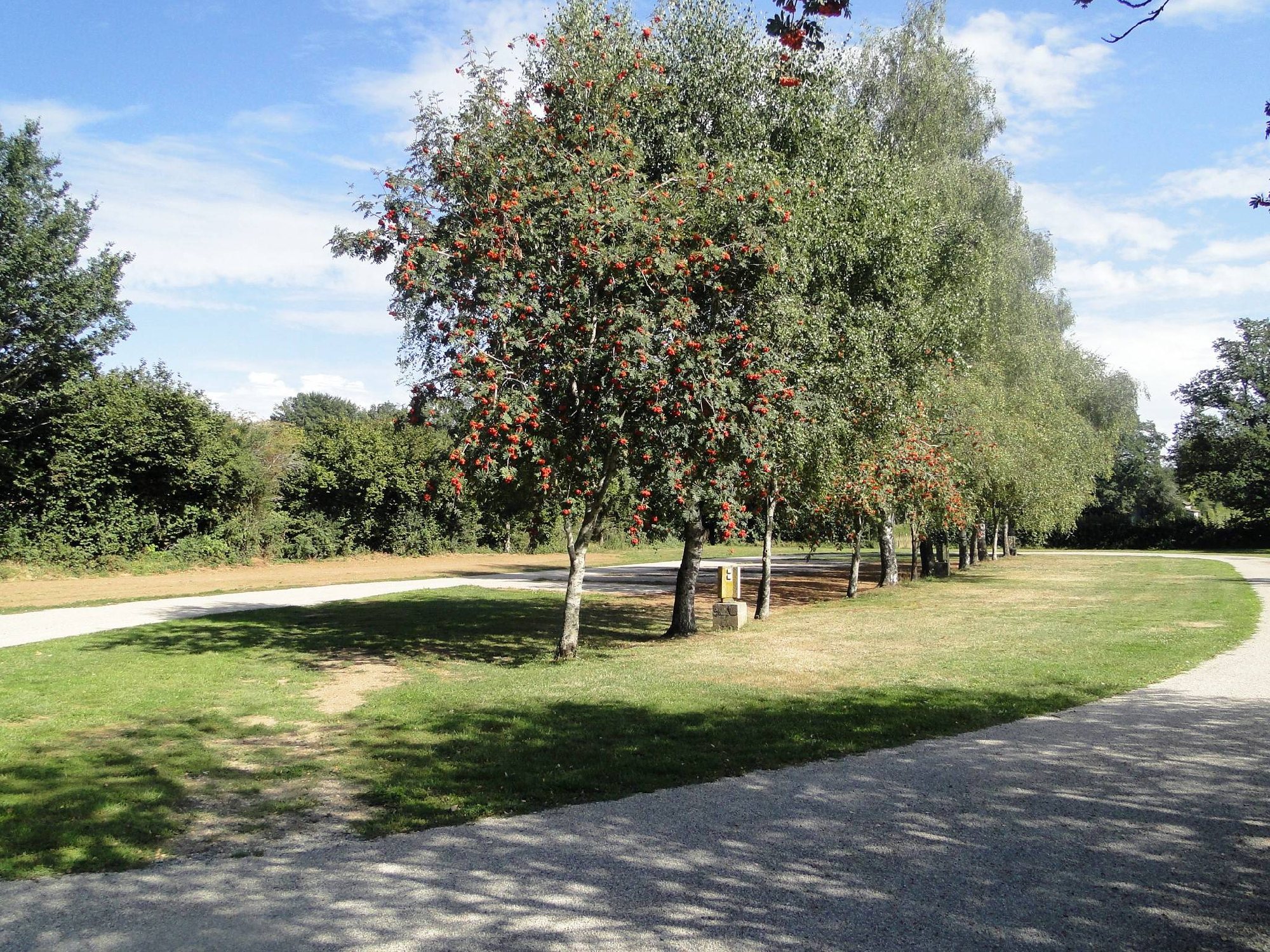 Aire de campings car,