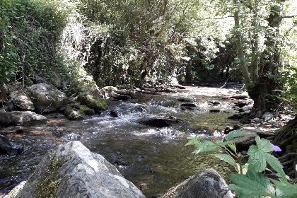 Balade au bord de l'Ouche à Conques , 