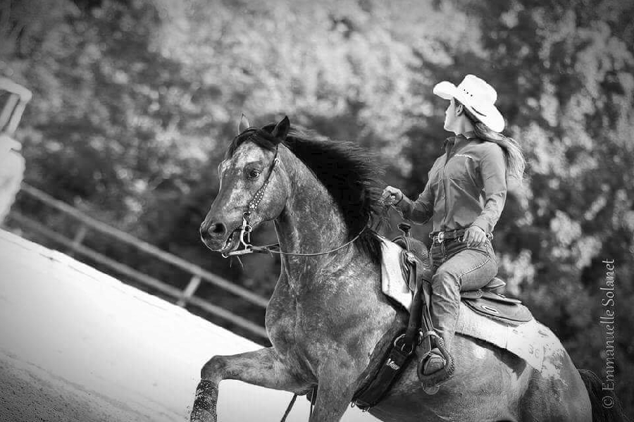 Roc'Aubrac - école d'équitation Western