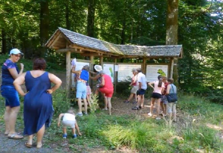 Rallye Touristique des 11 clochers en Réquistanais