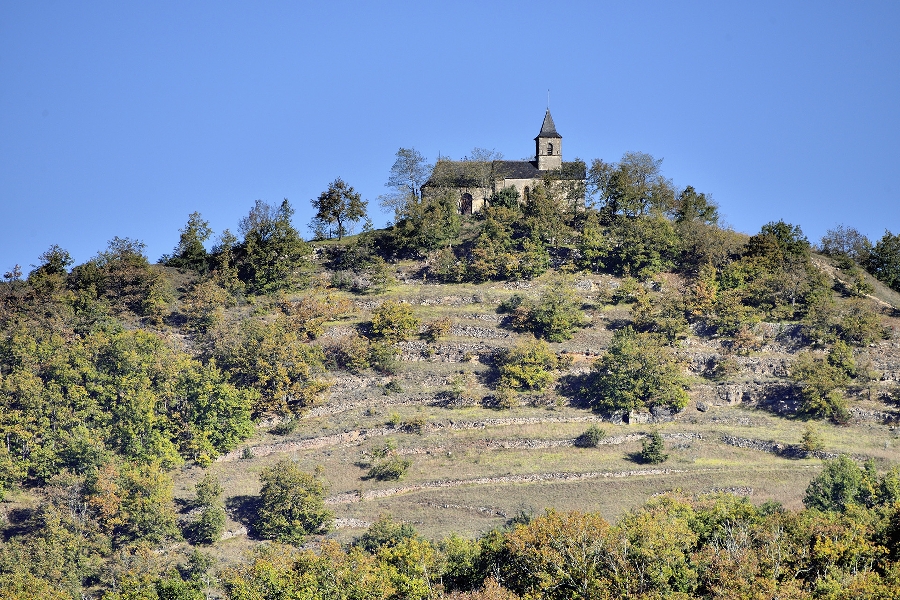 Parcours Trail Le Grand-Mas n° 8