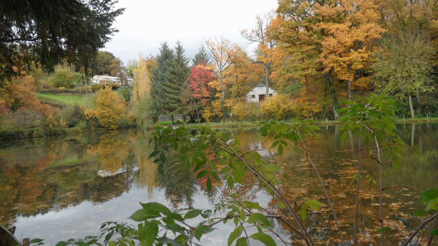 etang truite 85