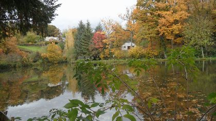 Etang, 