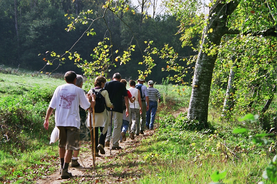 Randonnée Entre Sauveté et Bastide