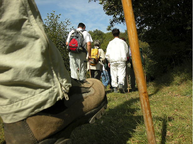 Randonnée Entre Liort et Lieux