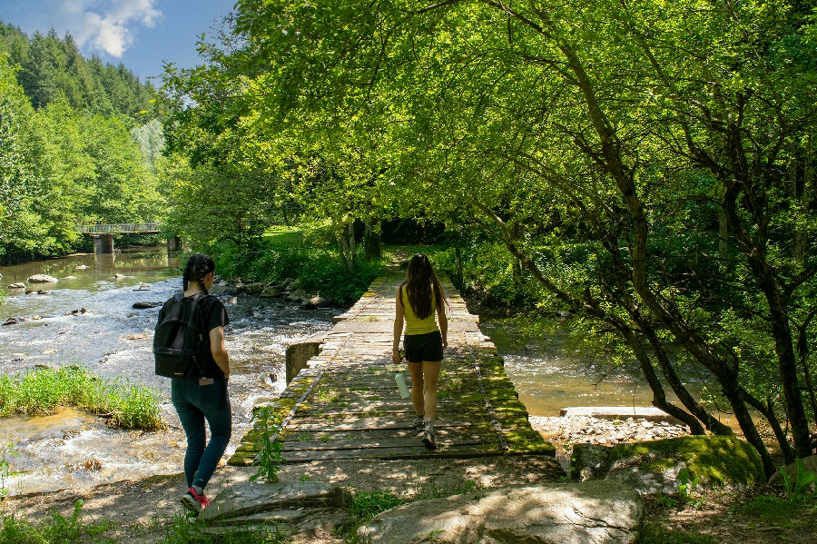 Randonnée Vallée de la Nauze-Site de Versailles