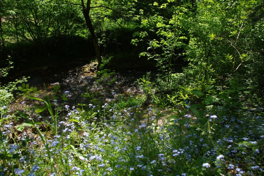 Randonnée Entre Lézert et Viaur