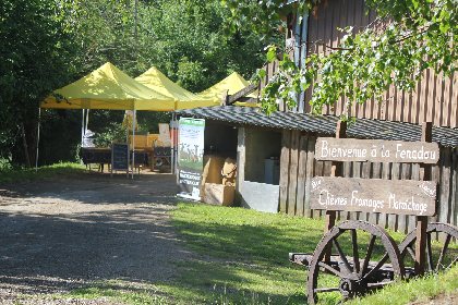 La Fenadou - Elevage de chèvre, OT Terres d'Aveyron