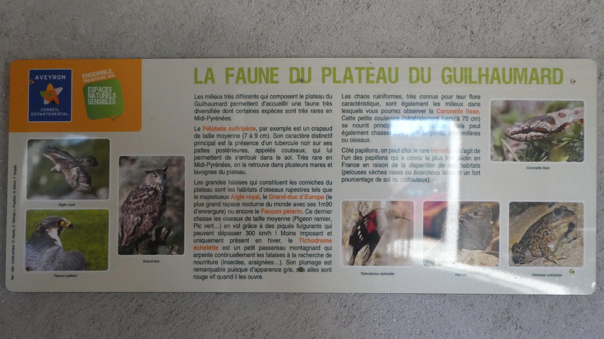 Maison du Guilhaumard - Espace naturel sensible, OFFICE DE TOURISME LARZAC VALLEES