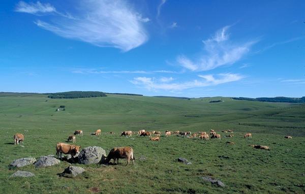 Cyclotourisme : Circuit de l'Aubrac