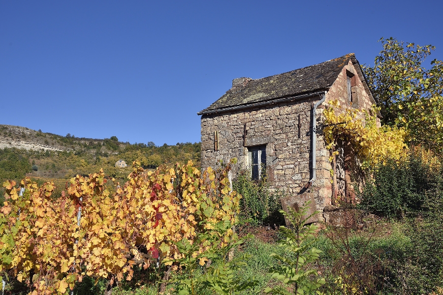 Randonnée Nuces - Le sentier des terrasses  France Occitanie Aveyron Valady 12330