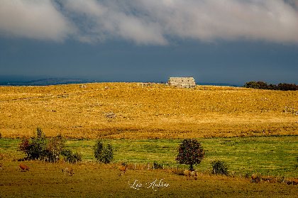 Loz Aubrac Photographie , Office de Tourisme en Aubrac