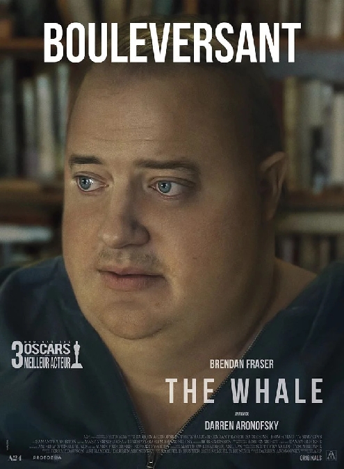 Cinéma : The Whale en VO
