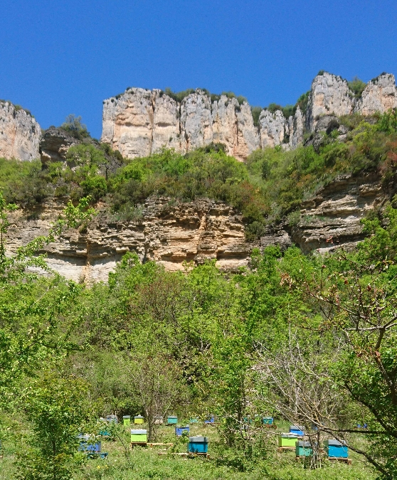 Le Rucher de Massebiau  France Occitanie Aveyron Millau 12100