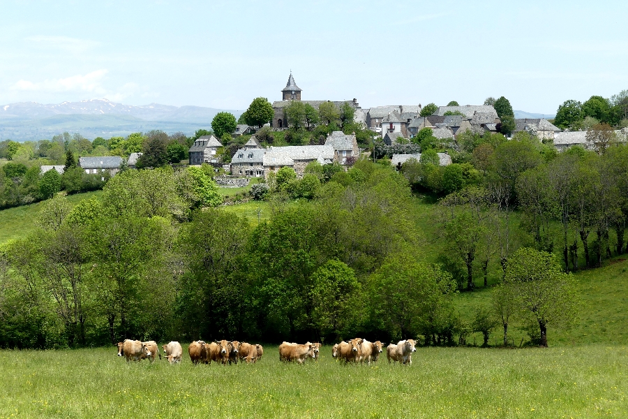 Village de Vines