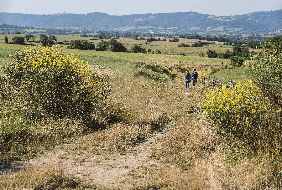 Chemin des Babissous