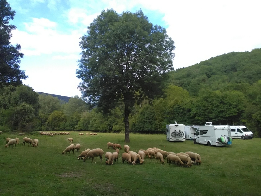 La Ferme des Comtes