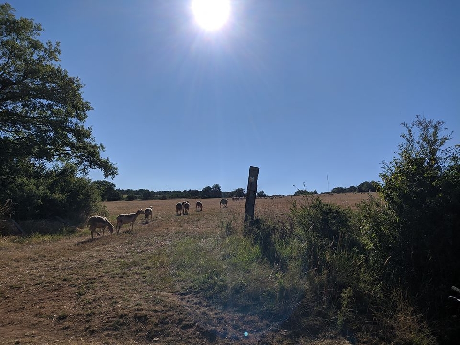 VTT - Circuit 4 Les Trois Châteaux