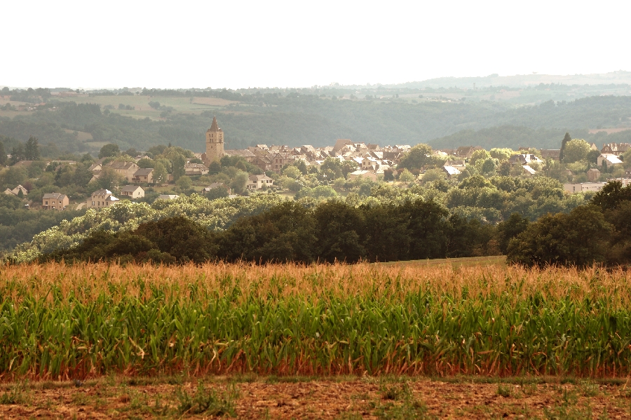 Oreilles en balade en voiture - Le circuit entre bastides, sauvetés et castrum