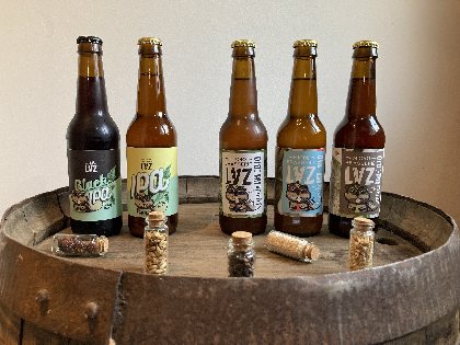 Bière LVZ, Brasserie LVZ