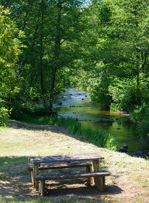 Aire de pique-nique d'Orlhaguet