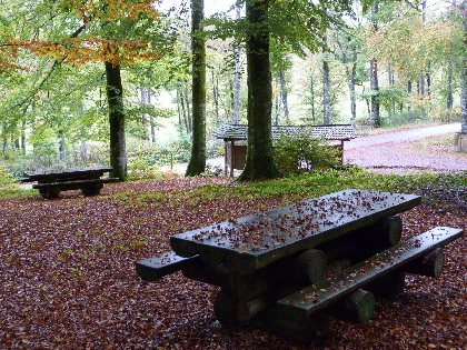 Aire de pique-nique du Lagast, OFFICE DE TOURISME DU REQUISTANAIS