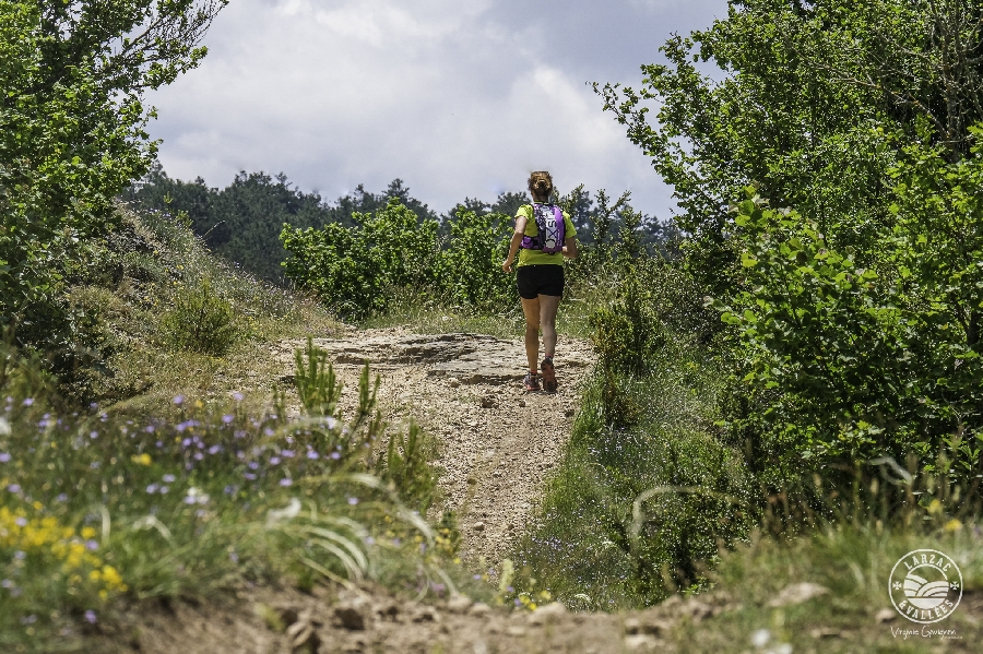 Couver'trail'rade  France Occitanie Aveyron La Couvertoirade 12230