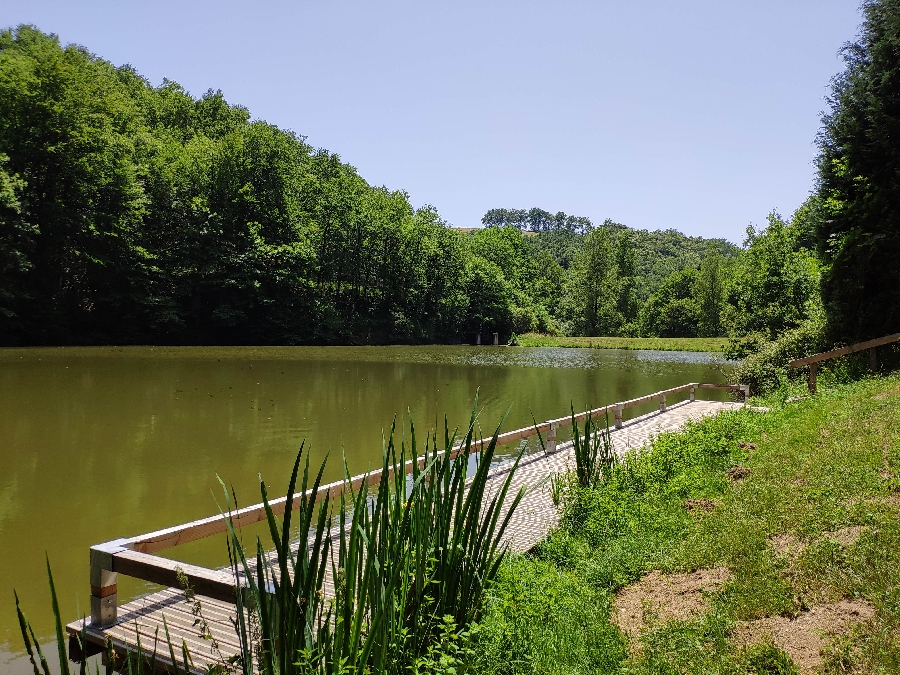 Pêche au plan d'eau du Masnaut