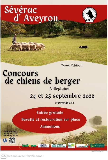 Concours de chiens de berger à Sévérac-le-Château