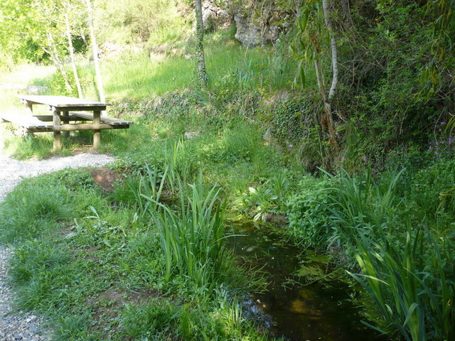 Aire de pique-nique du jardin d'insectes