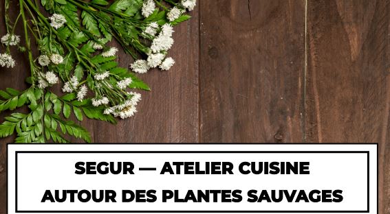 Sur inscription Découverte des plantes sauvages & atelier cuisine  ©OFFICE DE TOURISME DE PARELOUP LEVEZOU