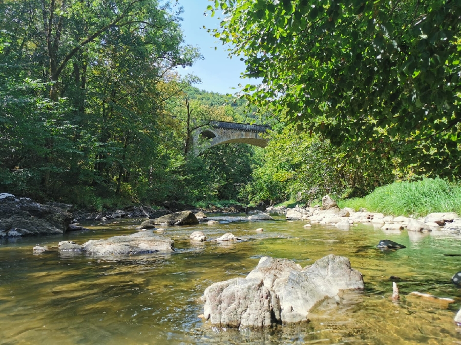 Lâchers de truites - Rivière Aveyron au Pont de Vézis proche de Villefranche-de-Rouergue  France Occitanie Aveyron Villefranche-de-Rouergue 12200