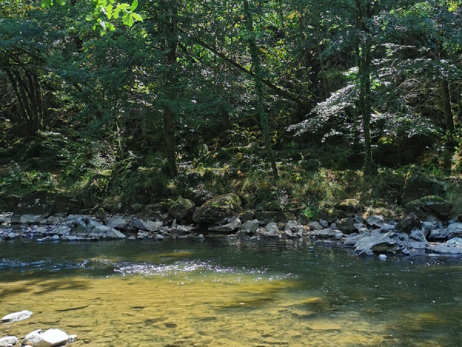 Lâchers de truites - Rivière Aveyron au Gourgassier proche de Villefranche-de-Rouergue