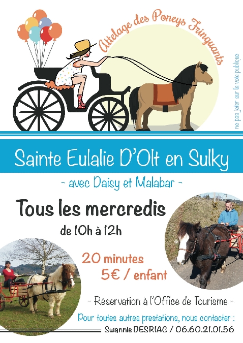 Balade en attelage avec les Poneys Fringuants