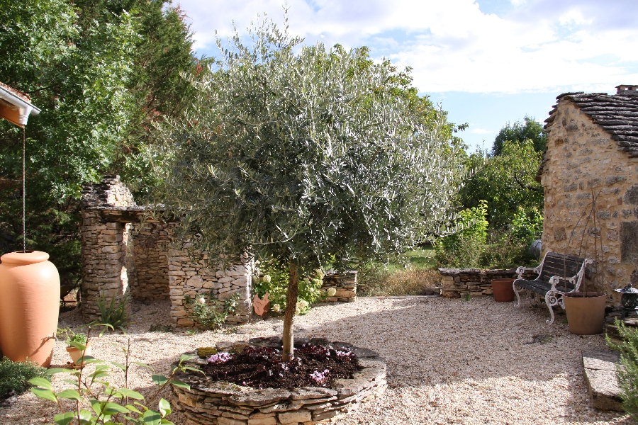 Olive Tree Cottage