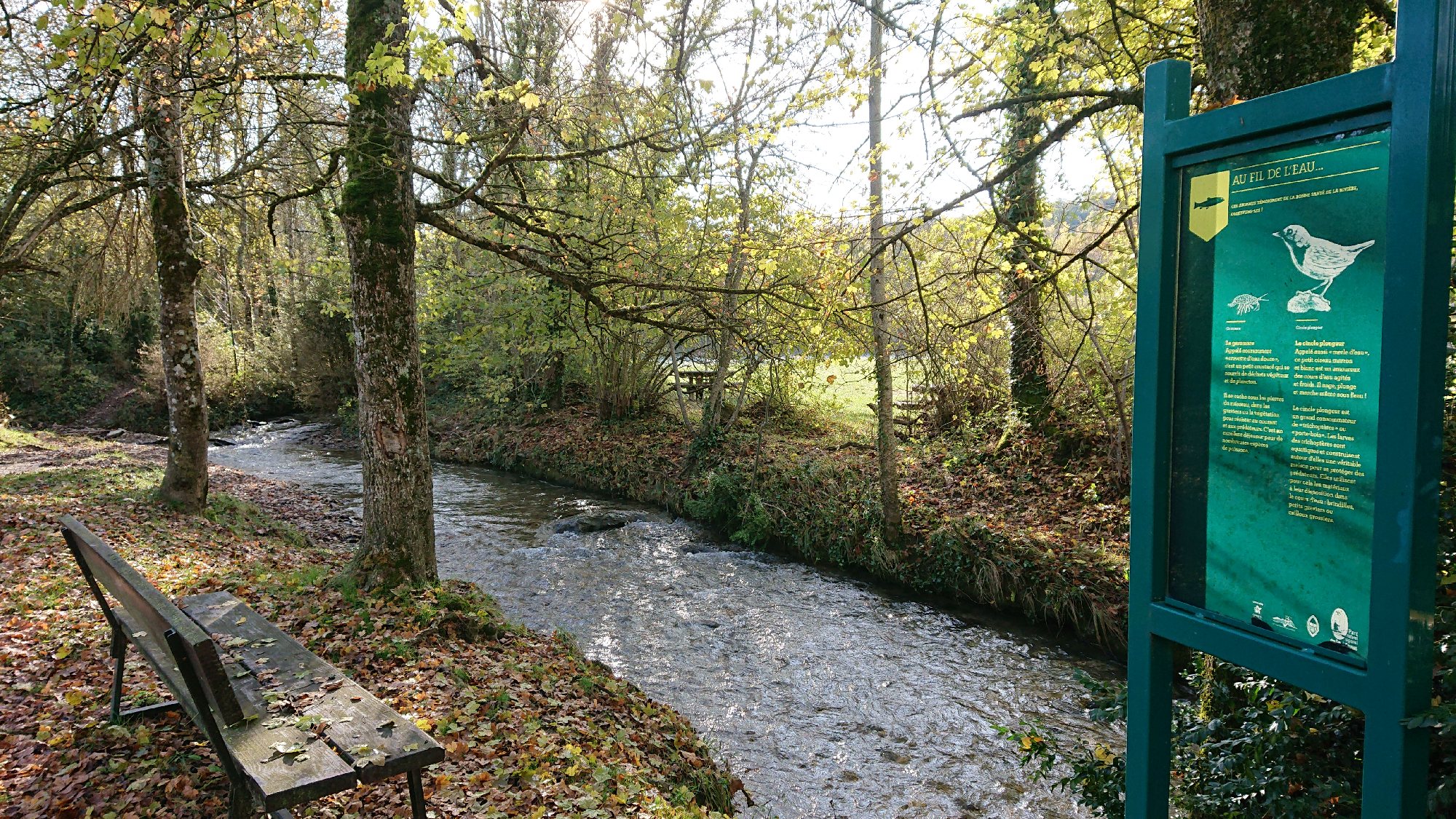 Aire de piquenique de l'espace Ladoux, SteEulaliedeCernon