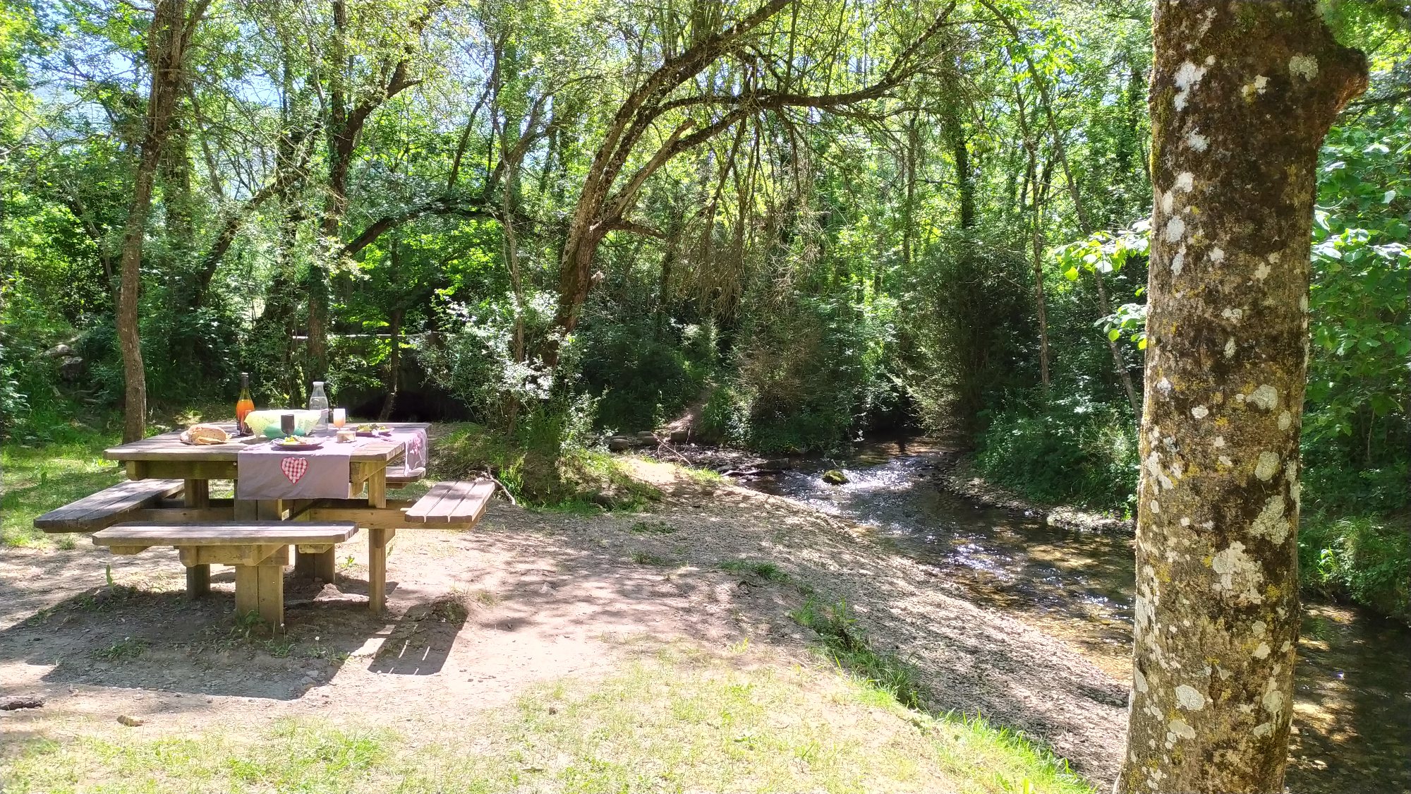 Aire de pique-nique de l'espace Ladoux, OFFICE DE TOURISME LARZAC VALLEES