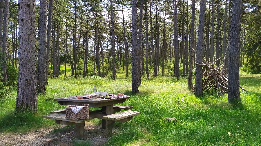 Aire de pique-nique du bois de la Douzette
