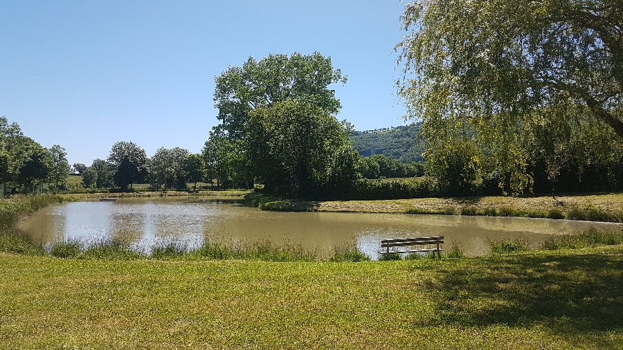 Aire de pique-nique du Lac du Ponteil à Sévérac l'Eglise