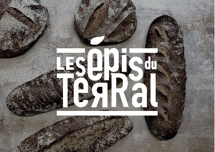 Les épis du Terral, OFFICE DE TOURISME DE PARELOUP LEVEZOU