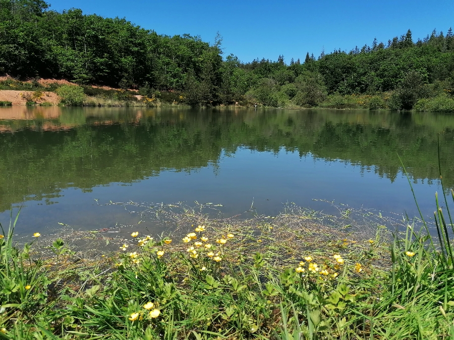 Aire de pique-nique du Lac des Bruyères à Bertholène