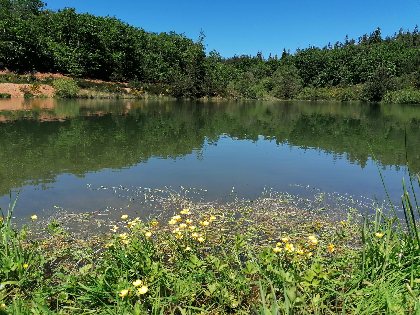 Aire de pique-nique du Lac des Bruyères à Bertholène, Office de Tourisme des Causses à l'Aubrac